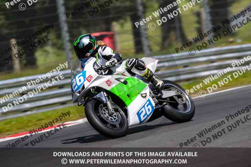 brands hatch photographs;brands no limits trackday;cadwell trackday photographs;enduro digital images;event digital images;eventdigitalimages;no limits trackdays;peter wileman photography;racing digital images;trackday digital images;trackday photos